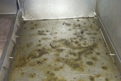 moldy duct work
