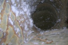 Inside of a Commercial Dryer Vent