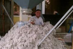 Loads of Lint