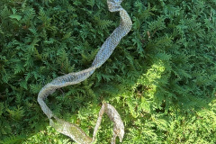 image003